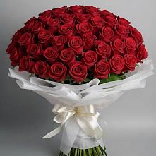 Букет 101 Красная роза Блэк Мэджик в Зеленогорском Ставропольского края