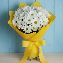 Букет цветов из:  Хризантемы в Зеленогорском Ставропольского края