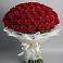 Букет 101 Красная роза Блэк Мэджик в Зеленогорском Ставропольского края