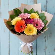 Букет цветов из:  Герберы #REPLACE_PRED# Зеленогорском Ставропольского края