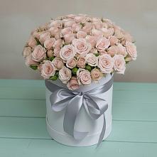 Цветочная композиция из Розы в шляпной коробке в Зеленогорском Ставропольского края