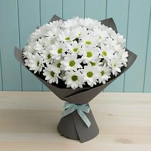 Букет цветов из:  Хризантемы #REPLACE_PRED# Зеленогорском Ставропольского края