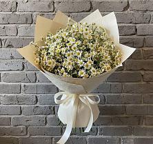 Букет цветов из:  Ромашки в Зеленогорском Ставропольского края