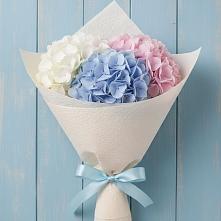 Букет цветов из:  Гортензия в Зеленогорском Ставропольского края