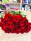 Букет Красные розы Фридом в Зеленогорском Ставропольского края