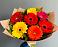 Букет цветов из: Герберы в Зеленогорском Ставропольского края