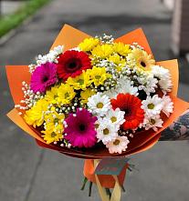 Букет цветов из:  Герберы и Хризантемы в Зеленогорском Ставропольского края