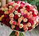 Букет 101 Разноцветная роза в Зеленогорском Ставропольского края