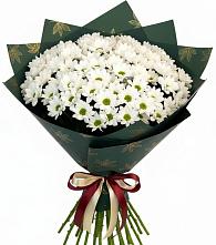 Букет цветов из:  Хризантемы в Зеленогорском Ставропольского края