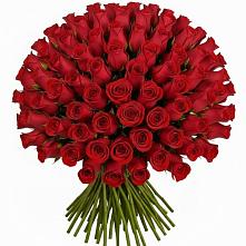 Букет Красные розы Чери Лав #REPLACE_PRED# Зеленогорском Ставропольского края
