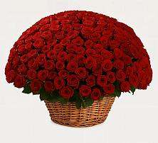 Премиум букет из: Розы в Зеленогорском Ставропольского края